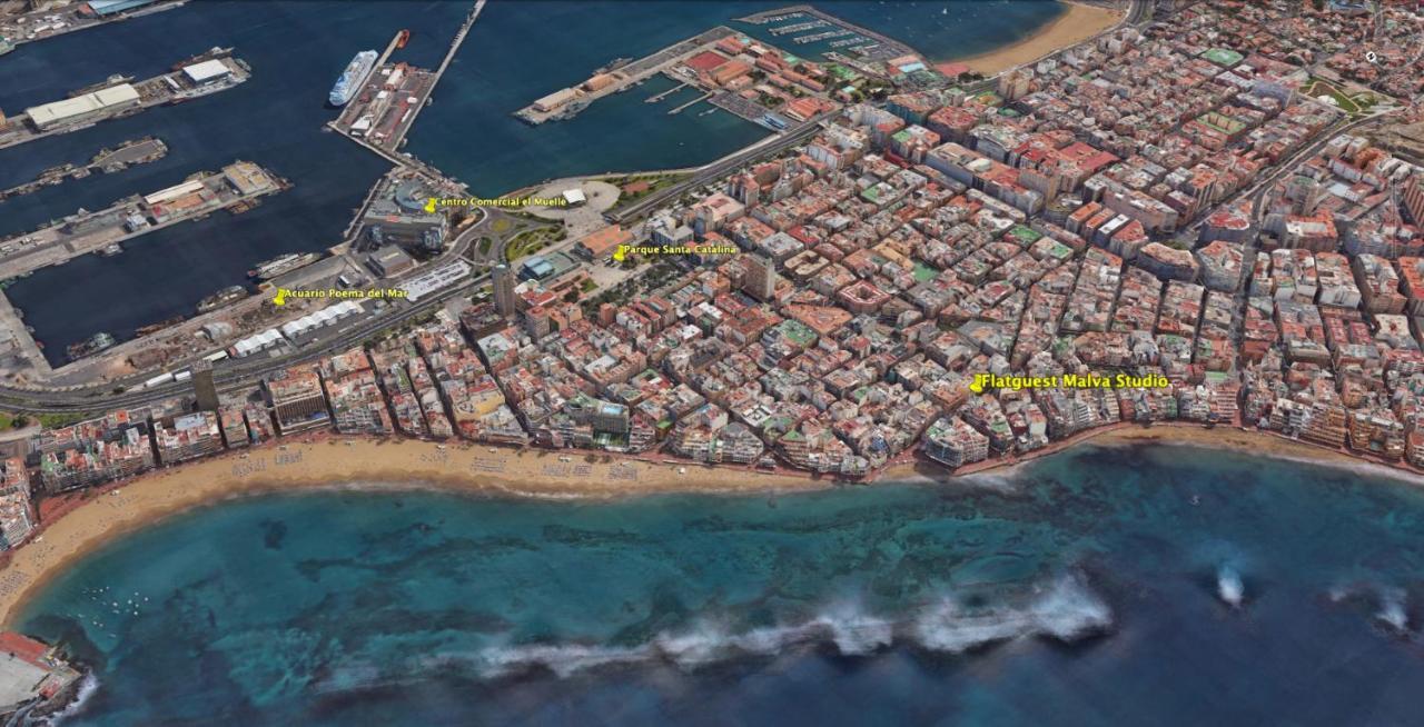 Flatguest Malva * Las Palmas de Gran Canaria